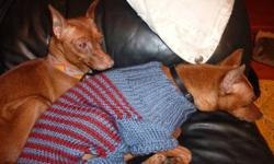 Robin and Lacey, purebred miniture pinchers, and former show dogs, have now retired and need a loving home to live in. They are 6 and 5 years old, respectively. These are very adorable, loving dogs that need a home with an experience min pin owner who